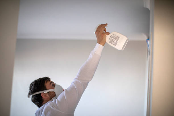 Trusted Rutherford, PA Mold Remediation Experts