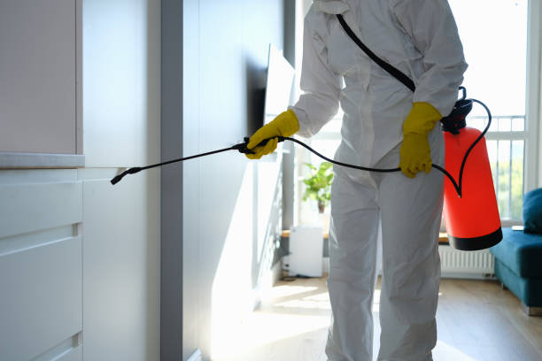 Best Residential Mold Remediation in Rutherford, PA